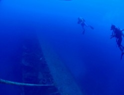 全長100ｍ以上！