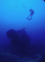 言葉を失います