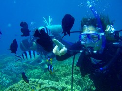 水中も余裕です。クマノミと戯れるひと時 水中も余裕です。クマノミと戯れるひと時