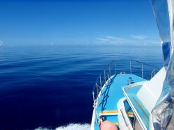 ビーフラップ号にて