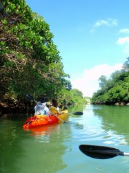 嘉手納 マングローブカヤック 嘉手納 マングローブカヤック