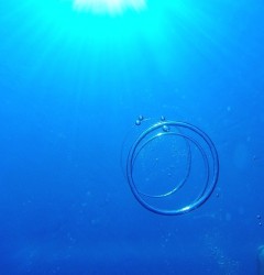 慶良間ダイビング