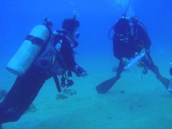 沖縄近海ダイビング