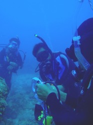 沖縄ダイビング