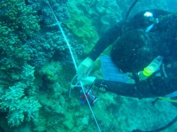 マーキングをします。