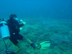 カリフォルニアサイド