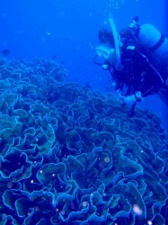 僕のオススメ 0番地沖 僕のオススメ 0番地沖