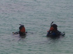 先生頑張れ！！