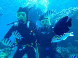 トロピカルフィッシュに囲まれて♪