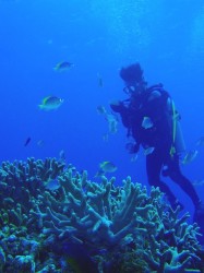 神山ラビリンス