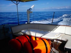 気持ち良い～～～～