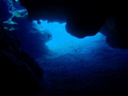 洞窟をすりぬけます (沖縄 ダイビング) 洞窟をすりぬけます (沖縄 ダイビング)
