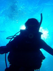 おぉシルエットぉ