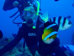 すっかり慣れた感じです