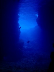 貸し切りの青の洞窟♪　（沖縄　ダイビング）