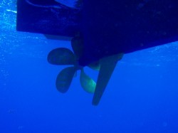 なんと！贅沢な5枚羽スクリュー