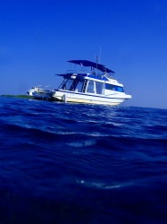 スノーケルをしていると、船をしたから見上げるんですよね♪