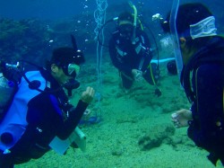 さ～スキル開始です