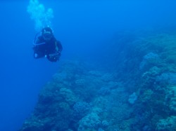 海底遺跡ー犬走 海底遺跡ー犬走