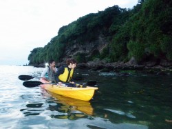浅場を覗いてみたり