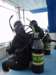 慶良間ダイビング