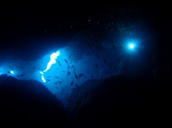 慶良間ダイビング 知志 慶良間ダイビング 知志