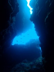 神山ラビリンス