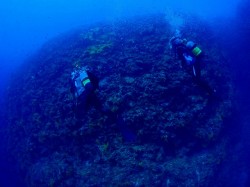 グルクの崎 豪快なドロップオフ グルクの崎 豪快なドロップオフ