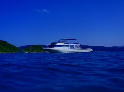 ケラマダイビング