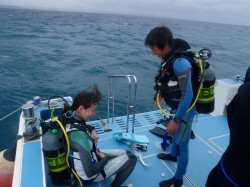 エンリッチドエアーナイトロックス　沖縄