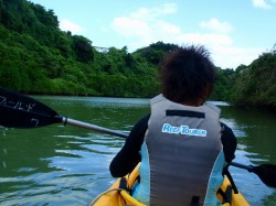 目の前にはジャングルのような風景が　（沖縄　カヤック）