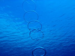 慶良間体験ダイビング 慶良間体験ダイビング