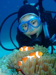 カクレクマノミと一緒に