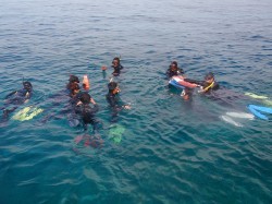 まずはスノーケル　（沖縄　ダイビング）