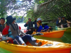 木漏れ日の下で語らいあいます。　マングローブ　カヤック