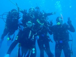 ファンダイビングチーム！