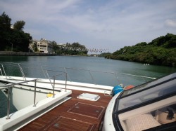 鯉のぼりが比謝川を泳いでいます 鯉のぼりが比謝川を泳いでいます