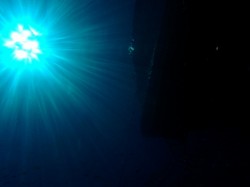 沖縄ダイビング