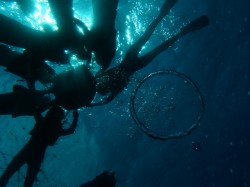 日の光が入ってとっても綺麗！（スノーケル）