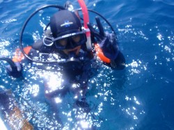 これからいざ、ダイビング! これからいざ、ダイビング!