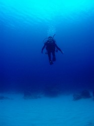 カミグーの砂地にて