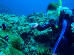 クマノミと一緒にパチリ