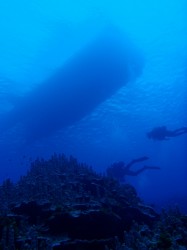カタマランを下から見上げる カタマランを下から見上げる