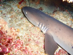 安全停止直前に・・・