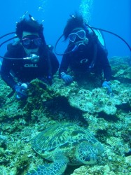 ケラマダイビング