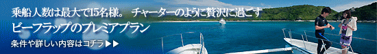 慶良間ダイビングならビーフラップのプレミアプランで