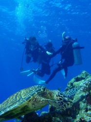 カメと一緒に撮影・・・