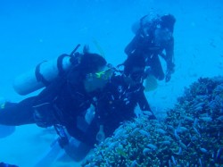 白い砂地の中に