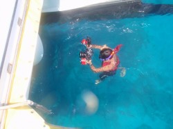 ビーフラップの正しい使い方♪