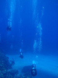 慶良間ダイビング 百合ヶ浜 慶良間ダイビング 百合ヶ浜